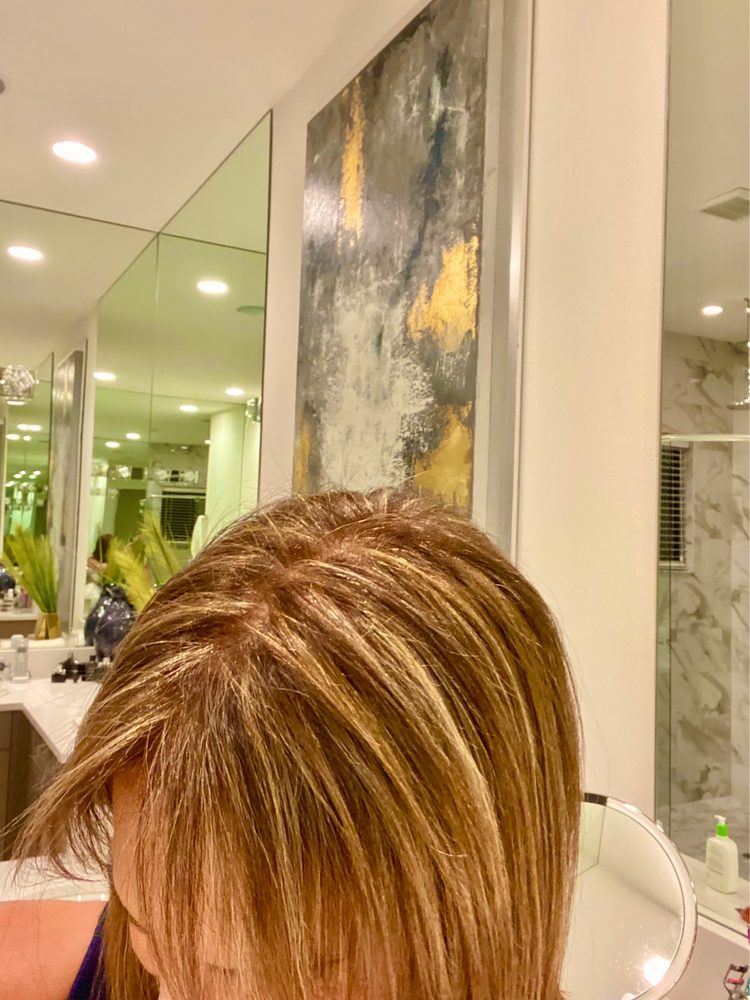 SALON ZEN AVEDA Updated September 2024 51 Photos & 58 Reviews 9100 Strada Pl, Naples