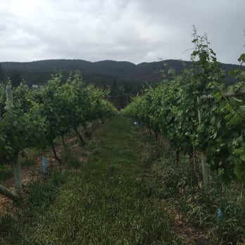 Roots & Vines Tour - Groves of vineyards - Wine Tours Near Me Roots & Vines Tour - Groves of vineyards - Wine Tours Near Me