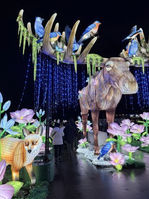 Woodland Park Zoo by null