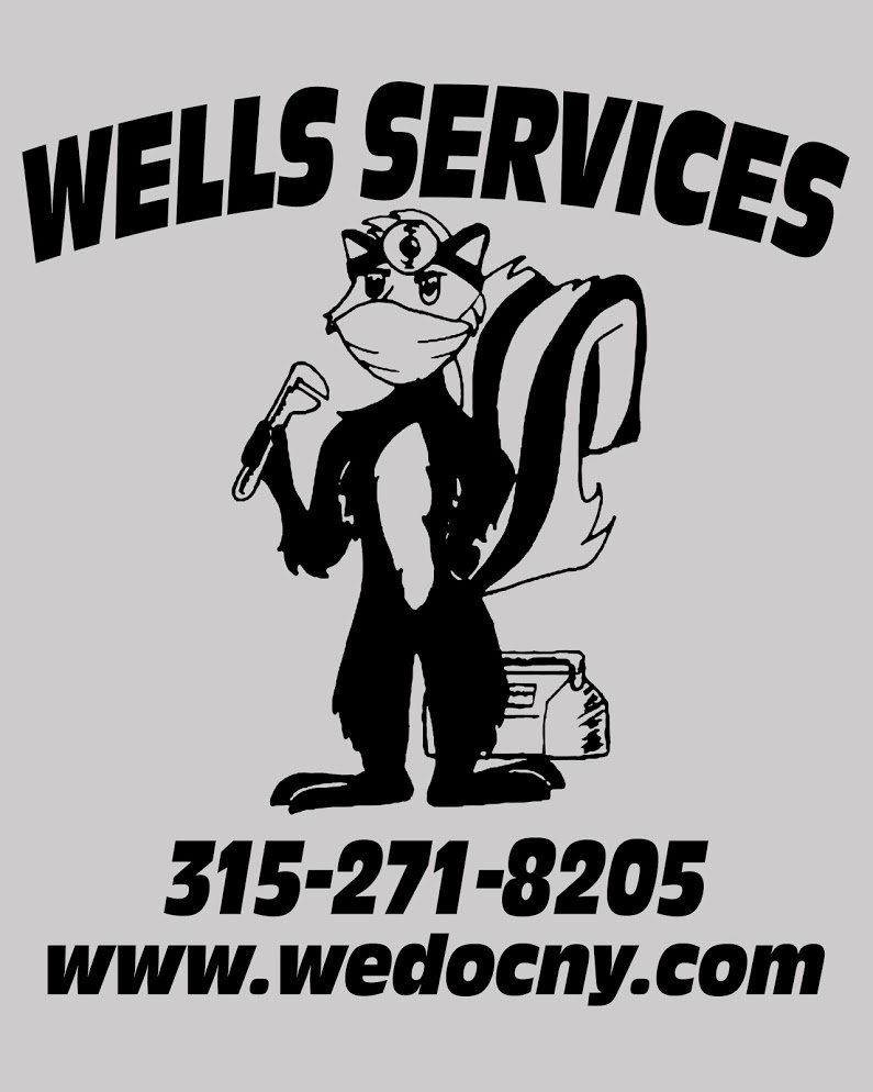 Slide of WellsServices