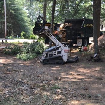Matt Mitko Expert Tree Climber - Tree Services Near Me
