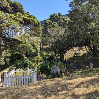 Mount Street Cemetery - Mount Street Cemetery, Wellington - Funeral Services & Cemeteries Near Me - Wellington, WGN