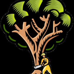 Pamlico Tree Care - untitled