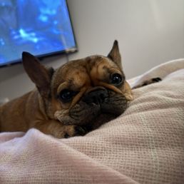 Roo says thank you! Roo says thank you!