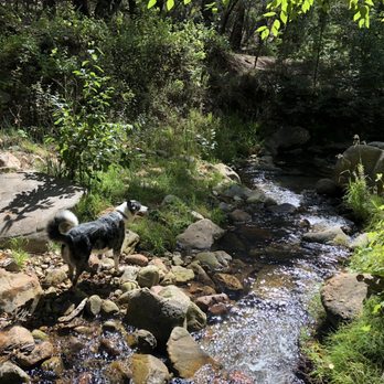 Horton Creek Trail - Hiking Near Me