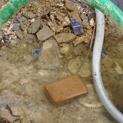 Pools By Murphy - Debris falling into the pool