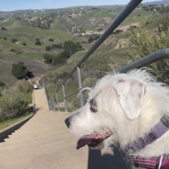 Calabasas Hidden Stairs - Hiking Near Me Calabasas Hidden Stairs - Hiking Near Me