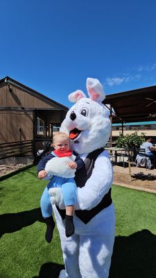 Verde Canyon Railroad by null