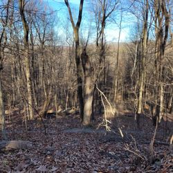 Horns Hill Park - Walking around on top of the hill.