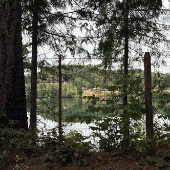Harmony Lakeside RV Park - The view from the lake side camp site. - Campgrounds Near Me - Silver Creek, Washington