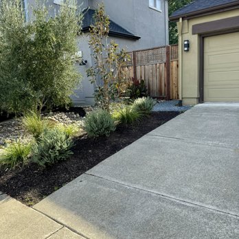 Sonoma Green Landscape - This is on the left hand side of the garage.  Very elegant. - Landscaping Near Me - Santa Rosa, California