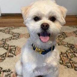 New do! New do!