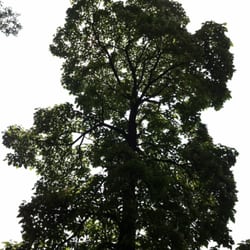 Wildwood Park