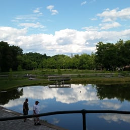 Pond Pond