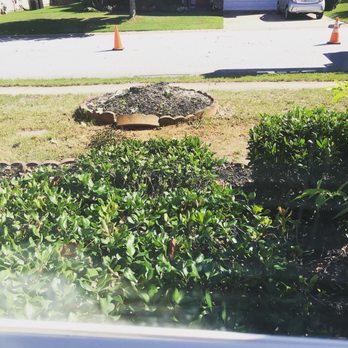 Schneider Tree Care - Final product - Tree Services Near Me - Taylors, South Carolina Schneider Tree Care - Final product - Tree Services Near Me - Taylors, South Carolina