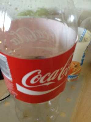 The Kingsley Hotel by null