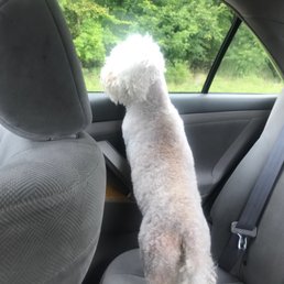 Sunshine's haircut 0/10