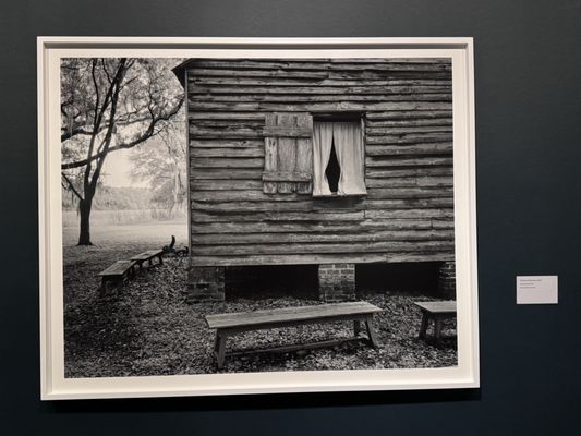 New Orleans Museum of Art by null New Orleans Museum of Art by null