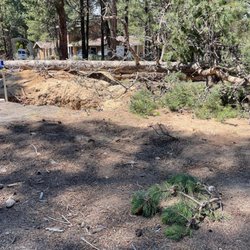 Capelli’s Timber and Land Services