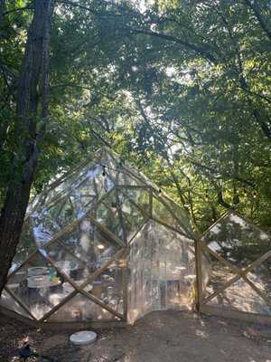 Pot Daddy Studio by null