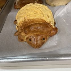 A concha animal