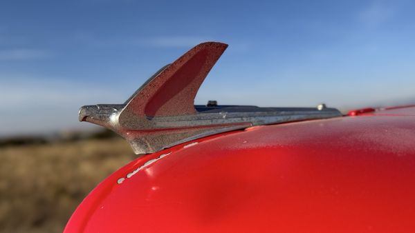 Santa Fe Skies RV Park by null