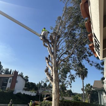 M&J Landscapes - Very professional removal - Landscaping Near Me - West Covina, California M&J Landscapes - Very professional removal - Landscaping Near Me - West Covina, California