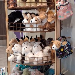 Grapevine Animal Services