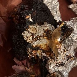 Hickory Tree Turkey BBQ