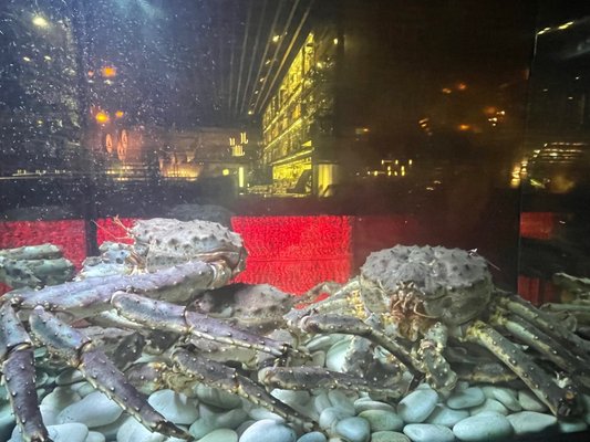 Novikov Restaurant & Bar by null