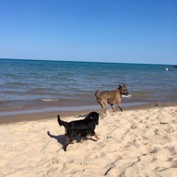 Gillson Park Dog Beach