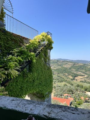 Domus Laeta by null