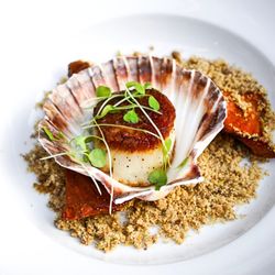 Noble Catering & Events - Seafood Catering