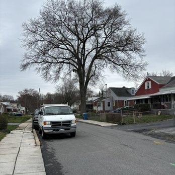 Jake's Tree Service - The 80 ft oak that loomed over my home for tree removal - Tree Services Near Me - Glen Mills, Pennsylvania Jake's Tree Service - The 80 ft oak that loomed over my home for tree removal - Tree Services Near Me - Glen Mills, Pennsylvania