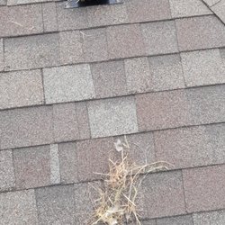Wright Way Air Duct & Dryer Vent Cleaning St Charles - Birds nest removed from roof vent
