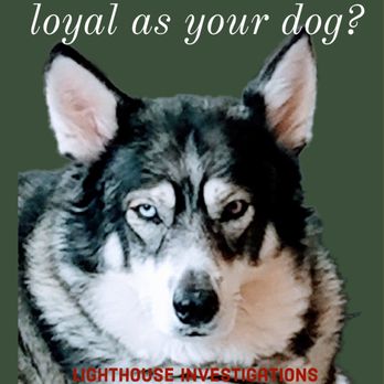 Lighthouse Investigations and Litigation Support - Private Investigation Near Me