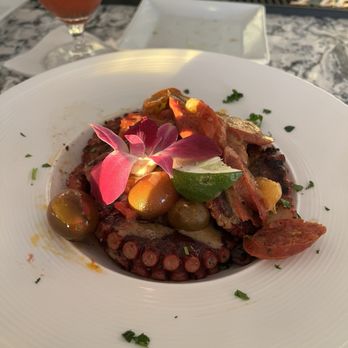 Level 11 Rooftop Bar & Lounge - Octopus served with sausage, tomato and mash potato! - Lounges Near Me - St. Pete Beach, Florida Level 11 Rooftop Bar & Lounge - Octopus served with sausage, tomato and mash potato! - Lounges Near Me - St. Pete Beach, Florida