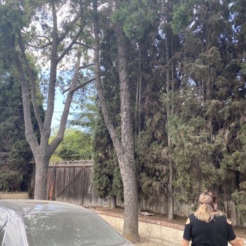 Top Unit Tree Service - Tree Services Near Me - Norwalk, California Top Unit Tree Service - Tree Services Near Me - Norwalk, California