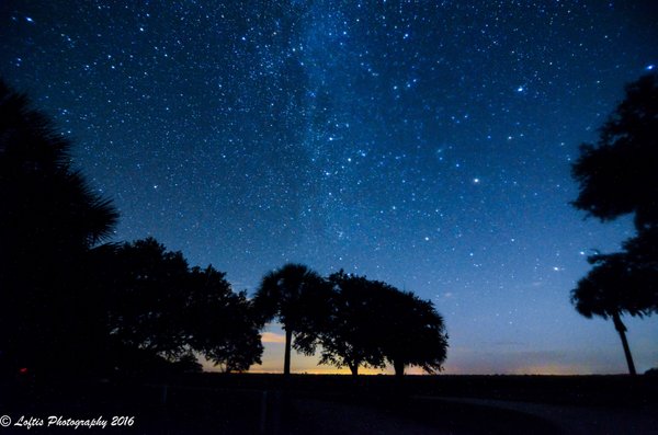 Kissimmee Prairie Preserve State Park by null