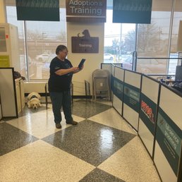 Chris the dog trainer Chris the dog trainer