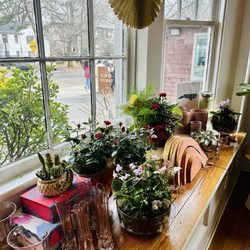 Moxie Mercantile