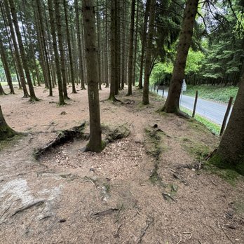 Bastogne War Museum - Easy Company foxholes in the Foy woods. - Museums Near Me - Bastogne, WLX