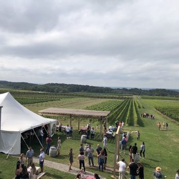 Bonobo Winery - Wineries Near Me - Traverse City, Michigan