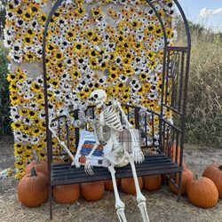 Harvest Patch - Photo op