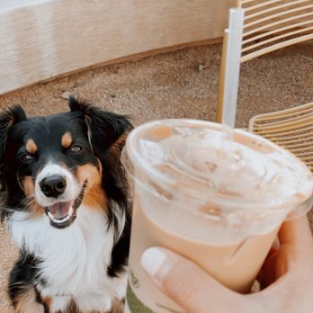 Buenas Coffee - Iced latte - Coffee & Tea Near Me - Costa Mesa, California Buenas Coffee - Iced latte - Coffee & Tea Near Me - Costa Mesa, California