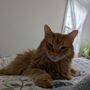 Photo of Trenton Animal Hospital