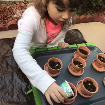 Blossom Montessori - Taking care of the seedlings they planted - Preschools Near Me - Irvine, California Blossom Montessori - Taking care of the seedlings they planted - Preschools Near Me - Irvine, California