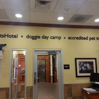 PetSmart - Lobby of pethotel - Pet Groomers Near Me - Clive, Iowa PetSmart - Lobby of pethotel - Pet Groomers Near Me - Clive, Iowa