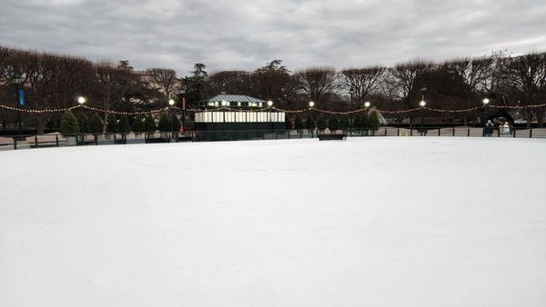National Gallery of Art – Sculpture Garden by null