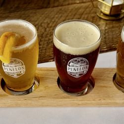 Fenelon Falls Brewing